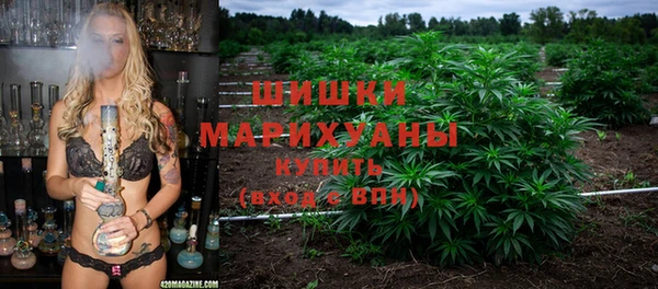 меф Арсеньев