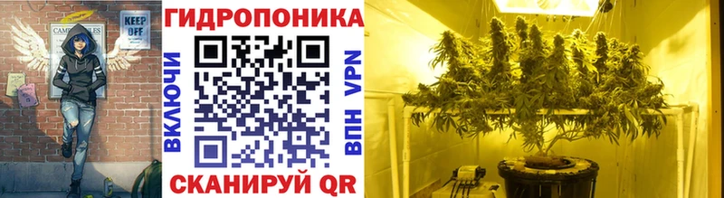 кракен зеркало  Рыбное  Бошки марихуана AK-47 